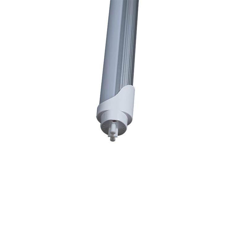 Lampe Leuchtmittel für RP-8240B2, RP-8250B2 1 Stk.