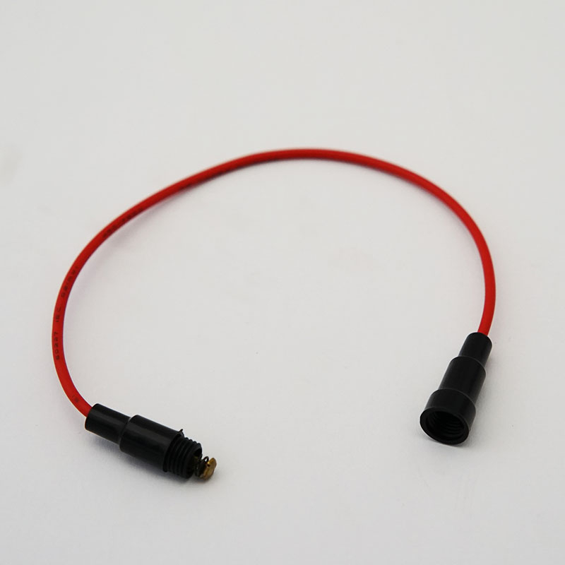 Cable with fuse holder