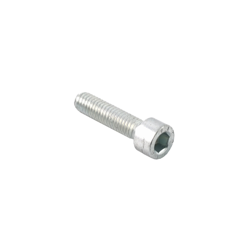Screw M5 x 30 for pump RP-CO-PP4000 RP-CO-HBO-13