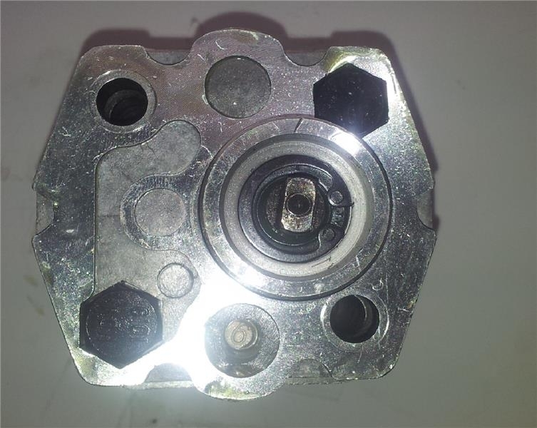 Hydraulikpumpe Zahnradpumpe 1,8 cc f&uuml;r 2-S&auml;ulen-Hebeb&uuml;hne alter Motor